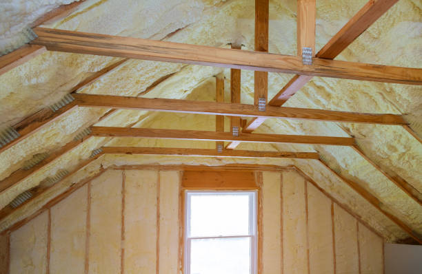 Best Types of Insulation in Sterling Ranch, CO