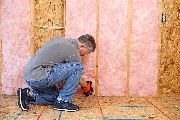 Best Insulation Installation Services in Sterling Ranch, CO