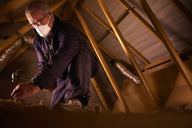 Best Energy Efficiency Solutions in Sterling Ranch, CO