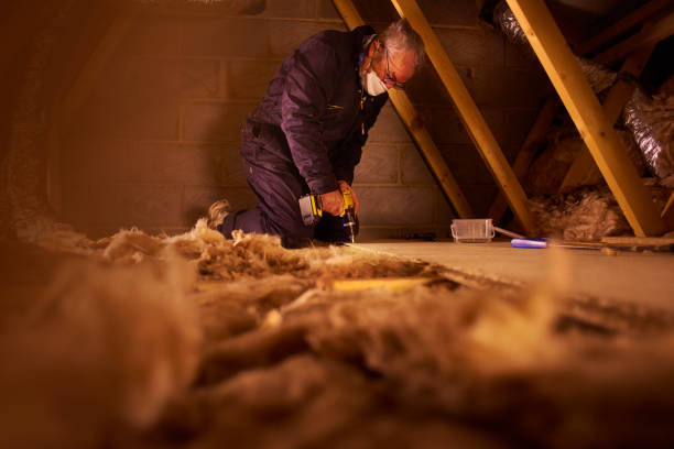 Best Residential Insulation in Sterling Ranch, CO